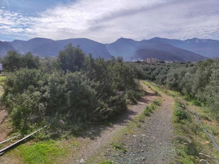 Image No.8-Plot for sale