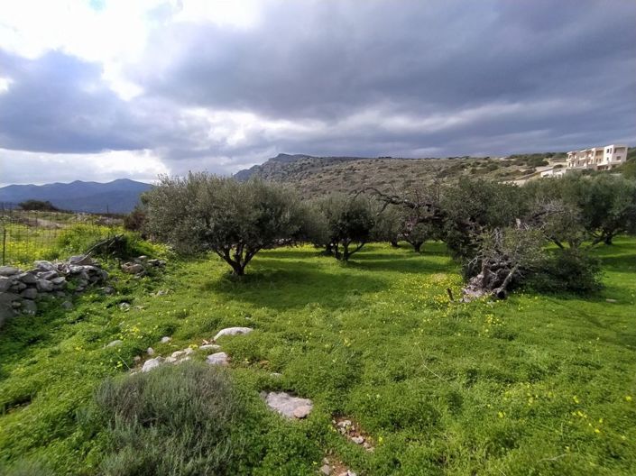 Image No.12-Land for sale