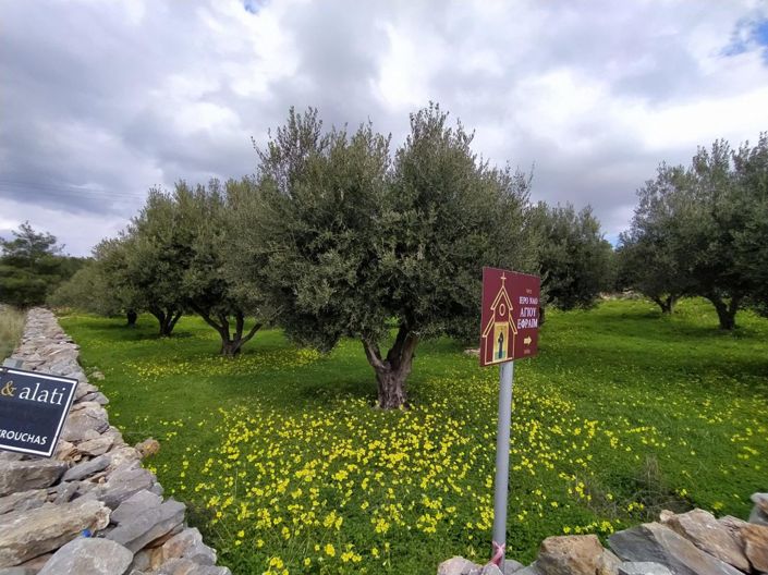 Image No.3-Land for sale