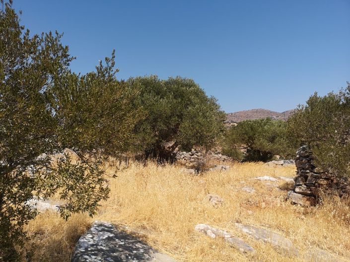 Image No.11-Plot for sale