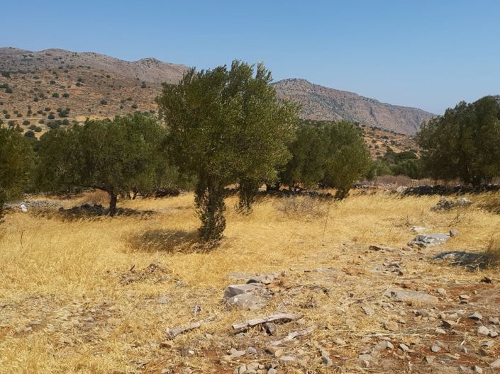 Image No.9-Plot for sale