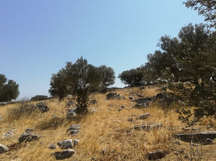 Image No.10-Plot for sale