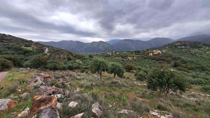 Image No.3-Plot for sale