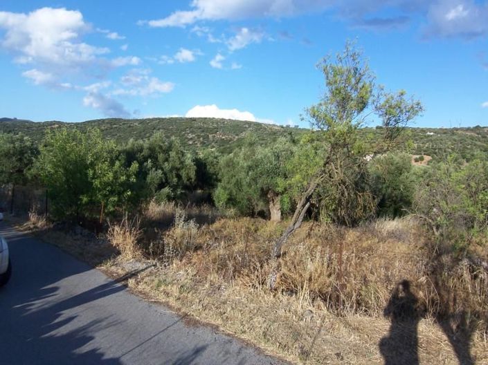 Image No.10-Plot for sale