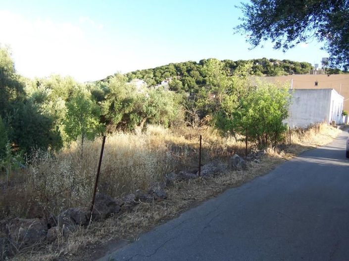 Image No.11-Plot for sale