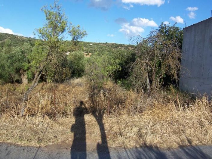 Image No.8-Plot for sale