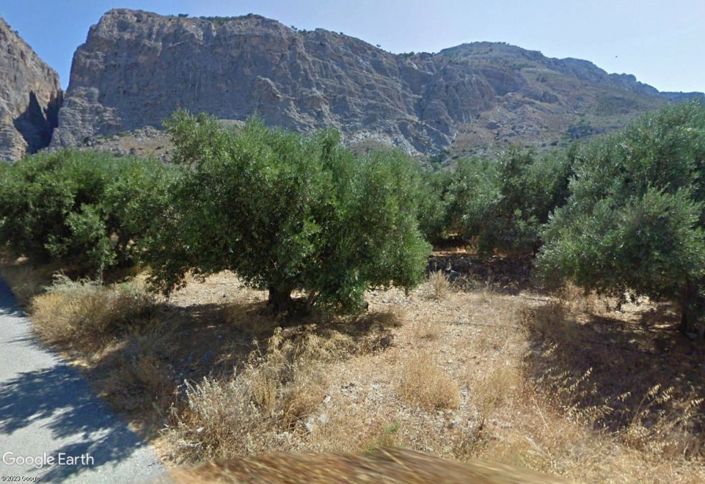 Image No.2-Plot for sale