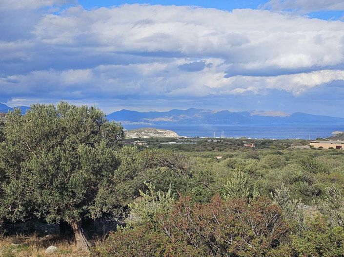 Image No.7-Plot for sale