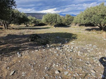 plmon1-plmon2-plmon3-1-1024x768