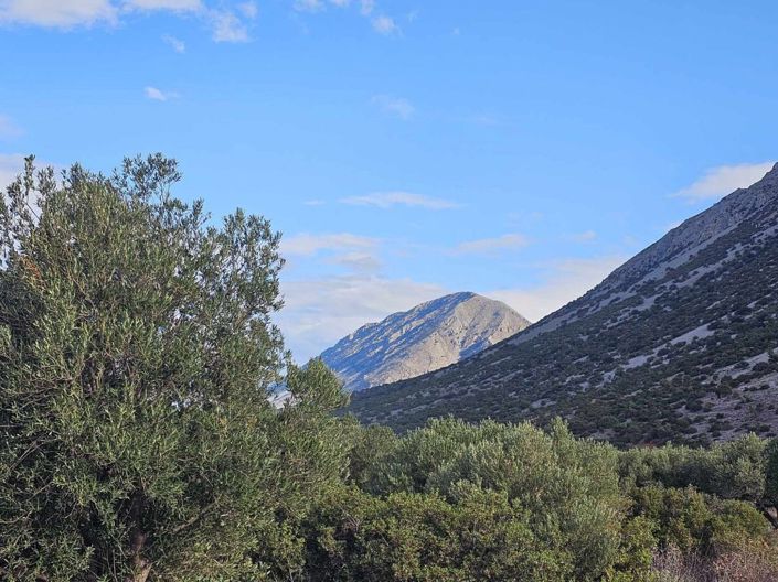 Image No.9-Plot for sale