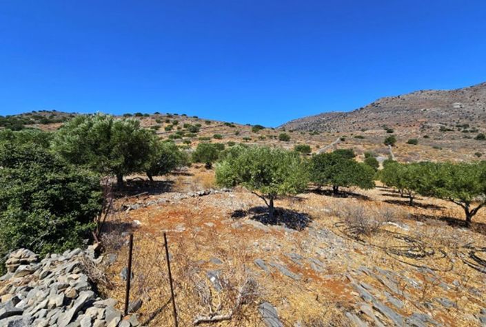 Image No.3-Plot for sale