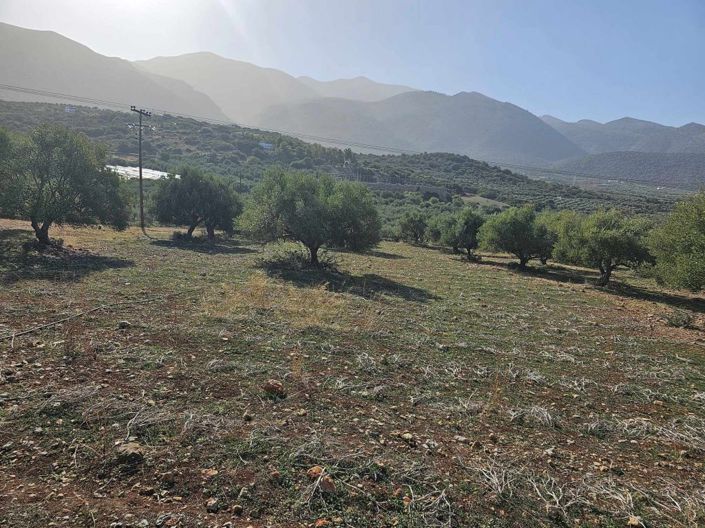 Image No.16-Plot for sale