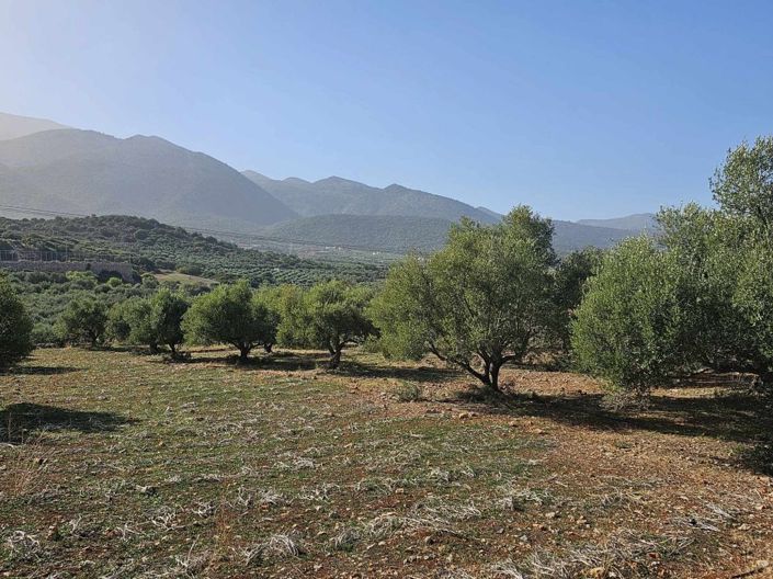 Image No.3-Plot for sale