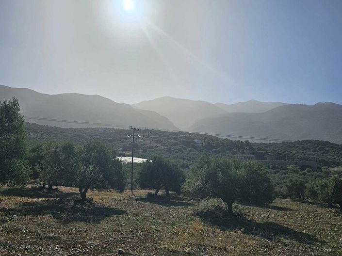 Image No.4-Plot for sale