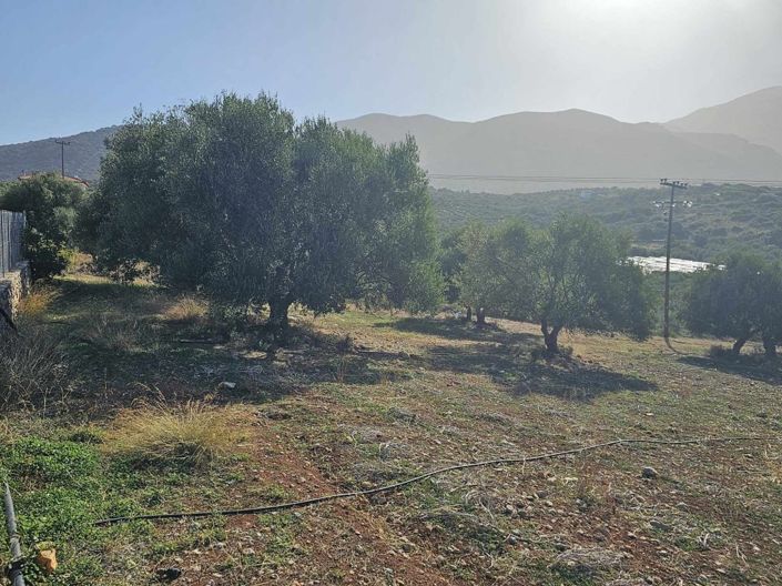 Image No.5-Plot for sale