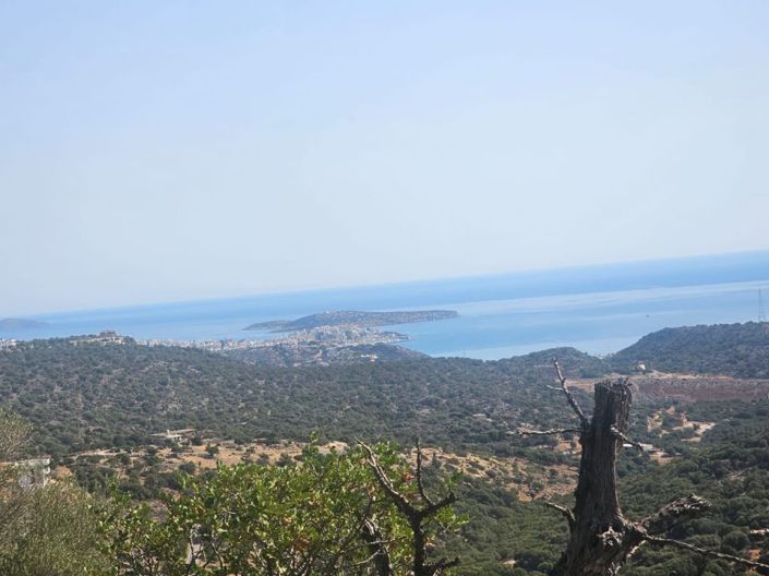 Image No.9-Plot for sale