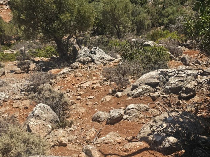 Image No.10-Plot for sale