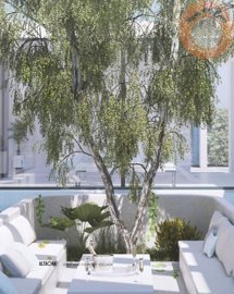 116-407973-4f641b0a83626aa13f69ce3570ee39547c