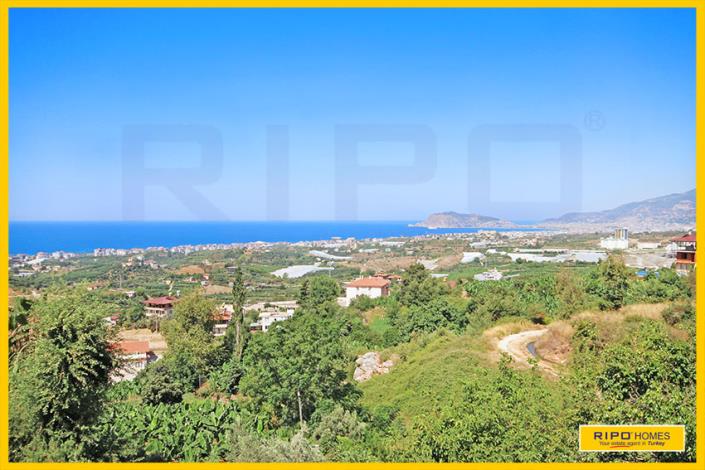 Image No.45-7 Bed Villa / Detached for sale