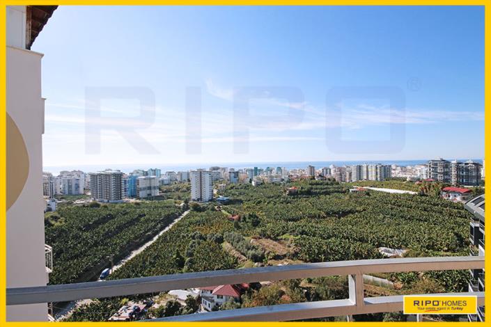 Image No.11-4 Bed Duplex for sale