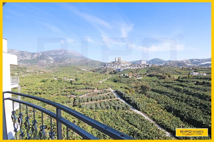 Image No.25-4 Bed Duplex for sale