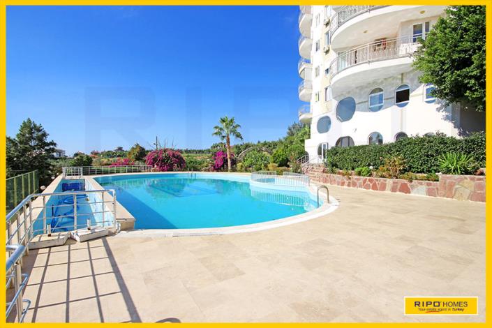 Image No.56-4 Bed Duplex for sale