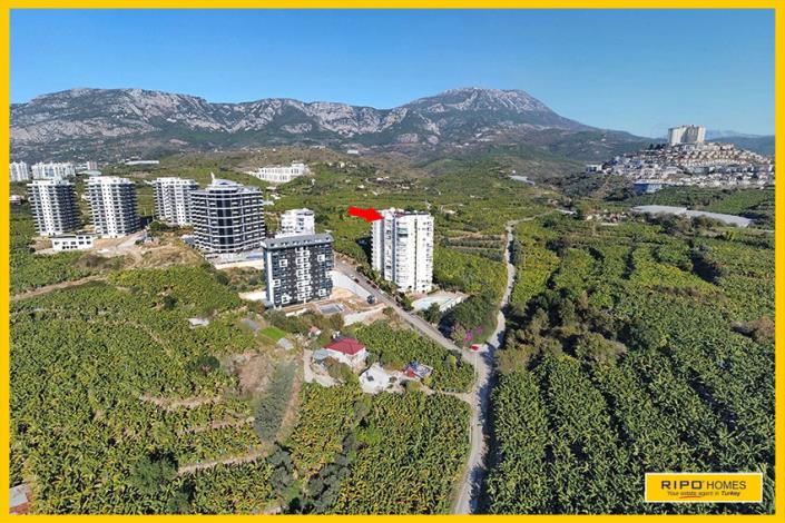 Image No.59-4 Bed Duplex for sale