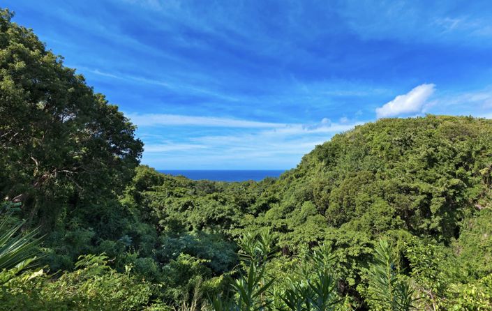 Image No.8-5 Bed Land for sale