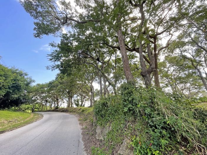 Image No.13-Property for sale