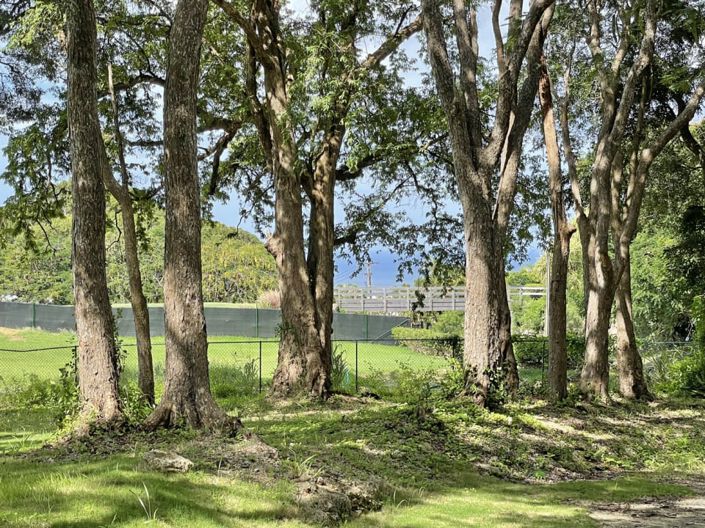 Image No.5-Property for sale