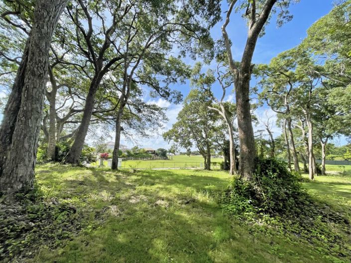 Image No.6-Property for sale