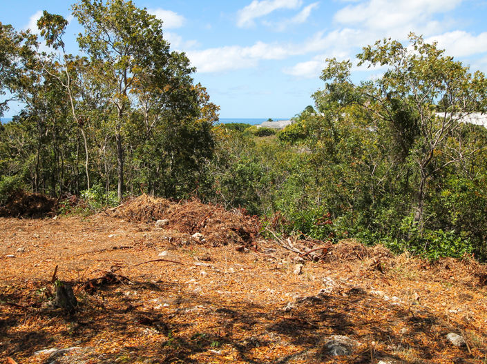 Image No.2-Property for sale