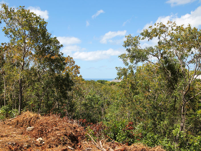 Image No.3-Property for sale