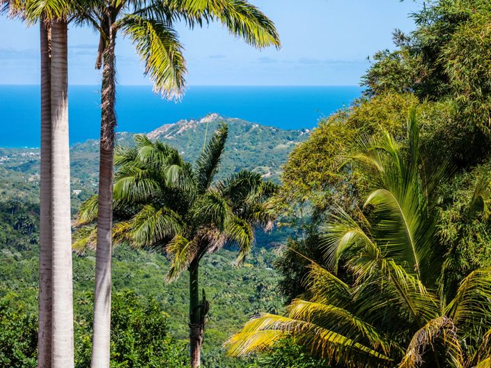 Image No.12-5 Bed Land for sale