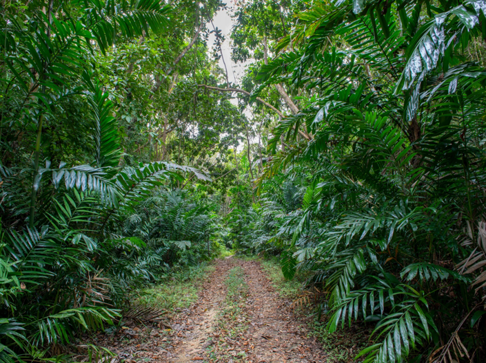 Image No.9-5 Bed Land for sale