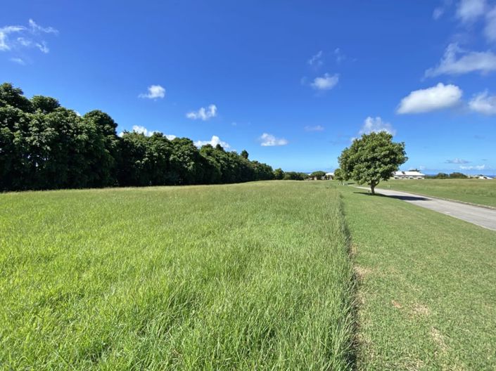Image No.1-Land for sale