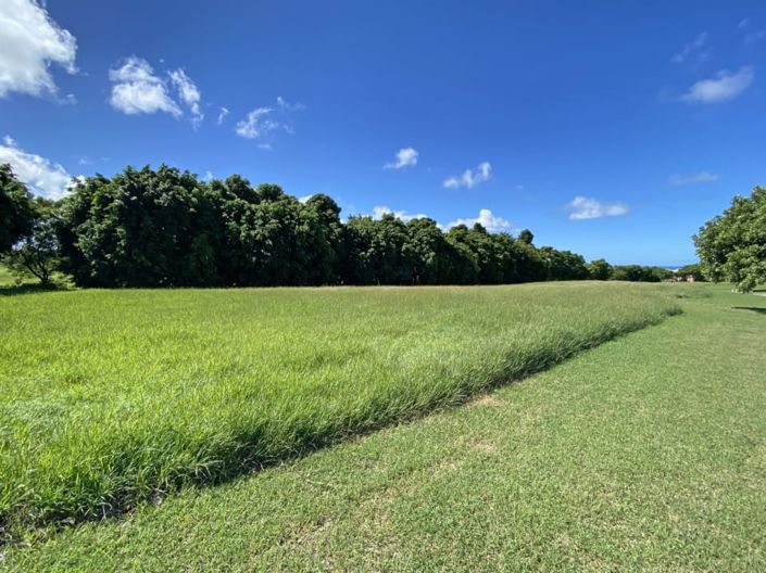 Image No.2-Land for sale