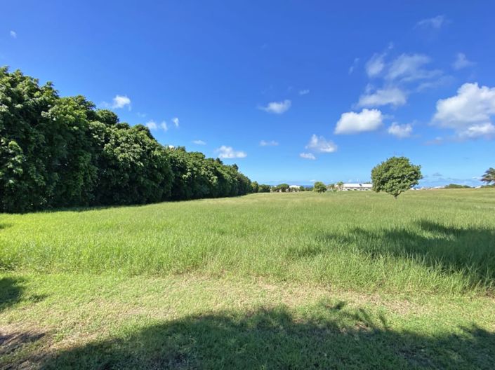 Image No.7-Land for sale