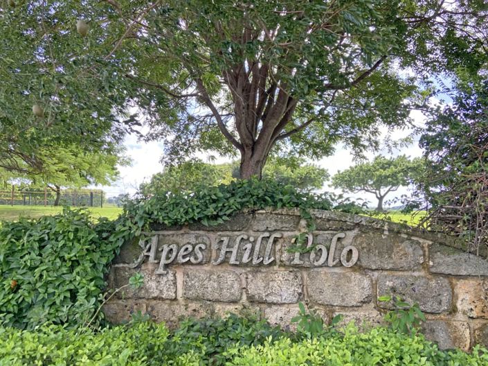 Image No.10-Land for sale