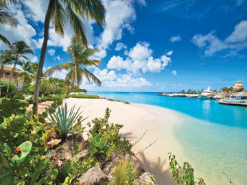 portstcharlesno150-v31650k-164856