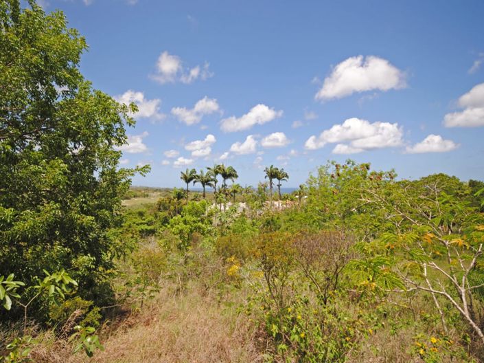 Image No.2-Townhouse for sale