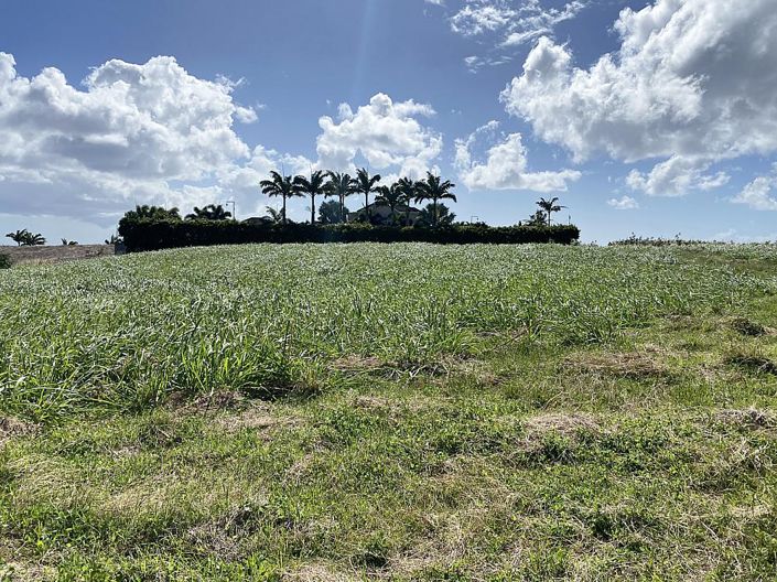 Image No.3-Property for sale