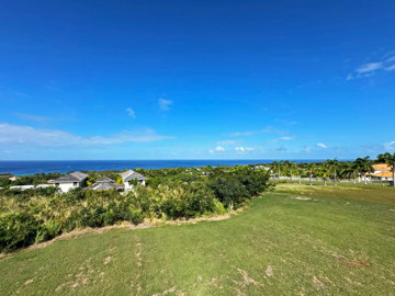 calijandrano14-image-14-315476