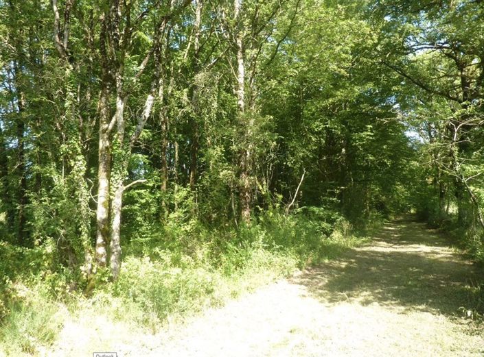 Image No.25-Maison de 5 chambres à vendre à Saint-Léger-Magnazeix