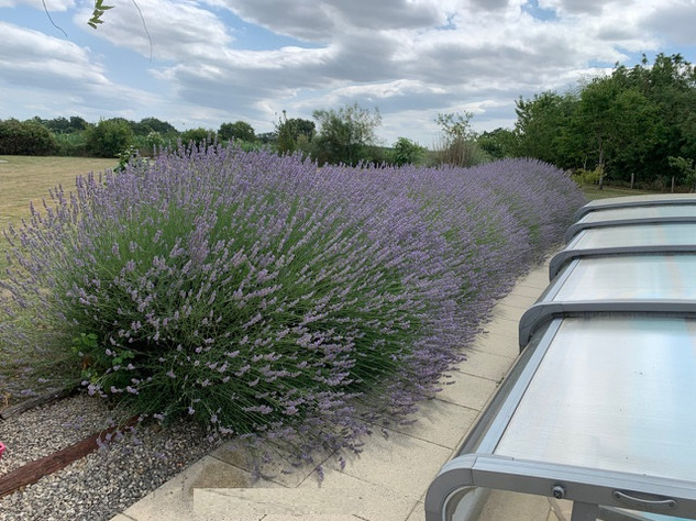 Image No.19-4 Bed Bungalow for sale