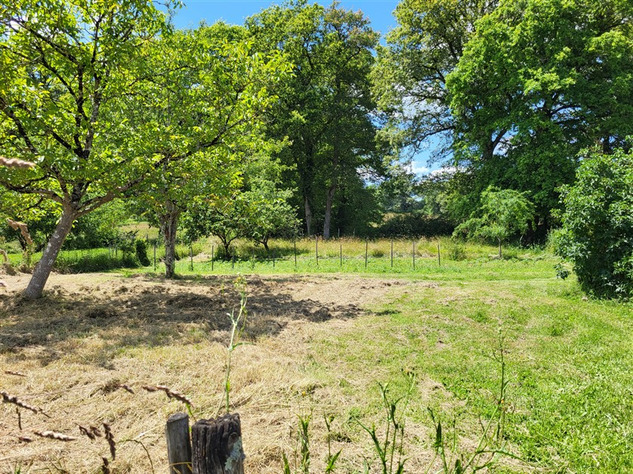 Image No.14-3 Bed House for sale