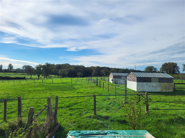 Image No.19-3 Bed House for sale