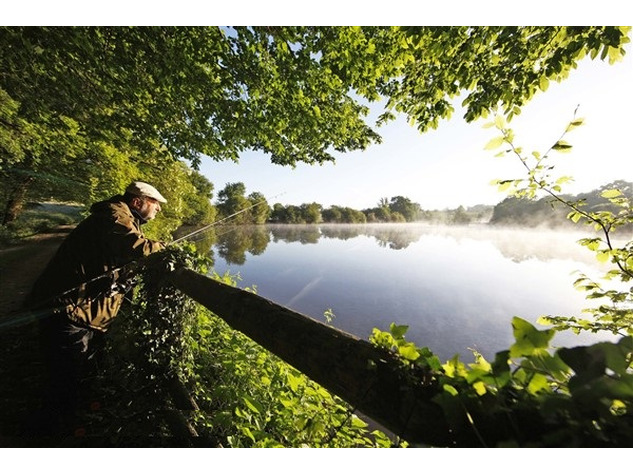 Image No.17-6 Bed House for sale