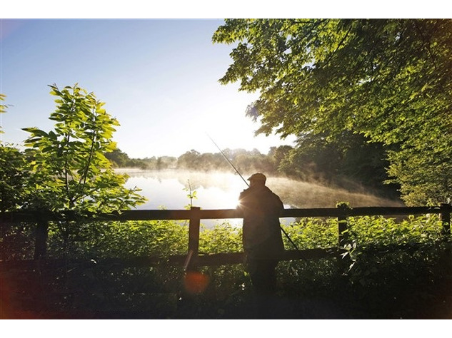 Image No.2-6 Bed House for sale