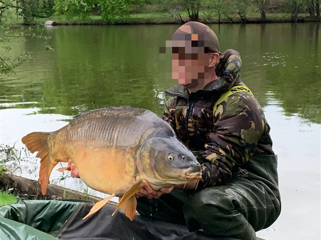 Image No.5-6 Bed House for sale